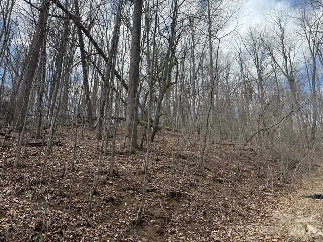 158 Chattooga Run #402, Hendersonville, NC 28739 - #2