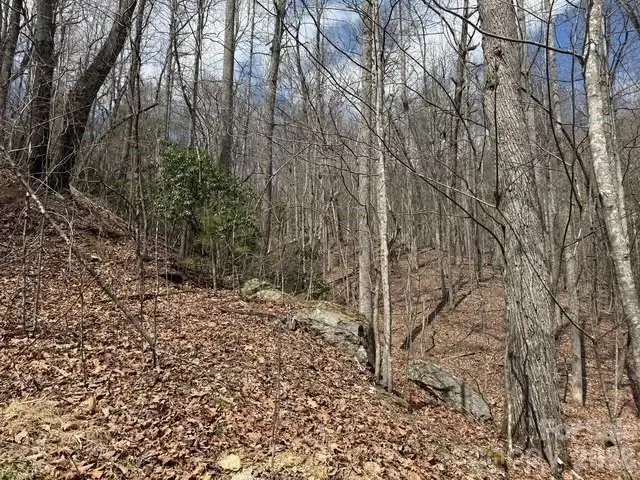 158 Chattooga Run #402, Hendersonville, NC 28739 - #3