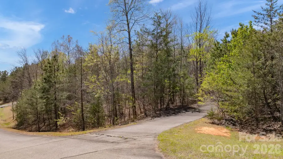 TBD Jobes Trail #29, Mill Spring, NC 28756 - #3