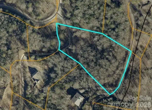 0 Fiddlers Mountain Road #24, Whittier, NC 28789 - #1