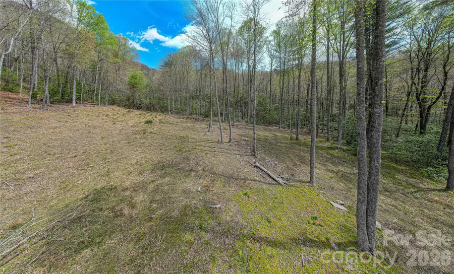 000 Rosman Highway, Sapphire, NC 28774 - #2