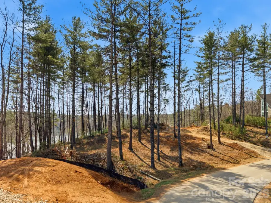 291 S Crest View Street, Nebo, NC 28761 - #2