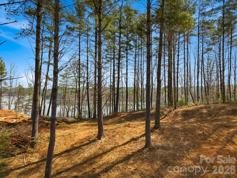 291 S Crest View Street, Nebo, NC 28761 - #3