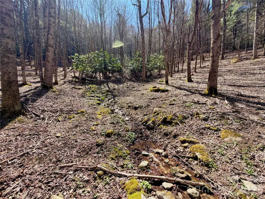 TBD George Hayes Road #Tract B, Boone, NC 28607 - #2