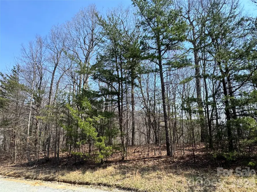 0000 Pinnacle Parkway, Union Mills, NC 28167 - #2