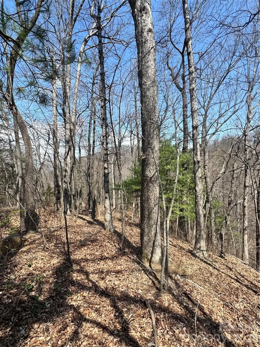 0000 Pinnacle Parkway, Union Mills, NC 28167 - #3