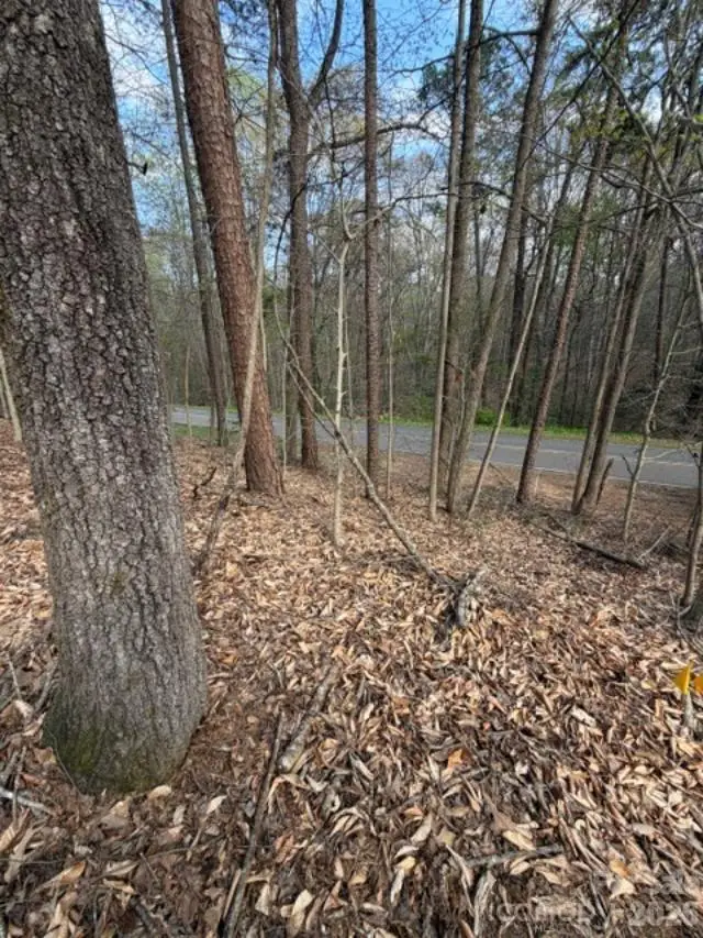 447 Hopewell Church Road #58, Catawba, NC 28609 - #3