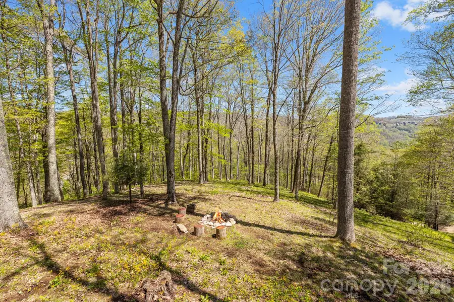 868 English Ridge Drive, Mars Hill, NC 28754 - #3