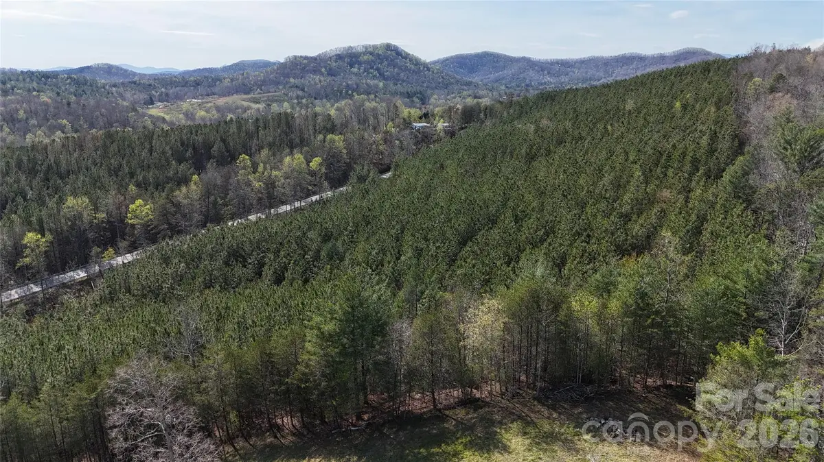 00 Nc Highway 226 Highway, Bostic, NC 28018 - #1