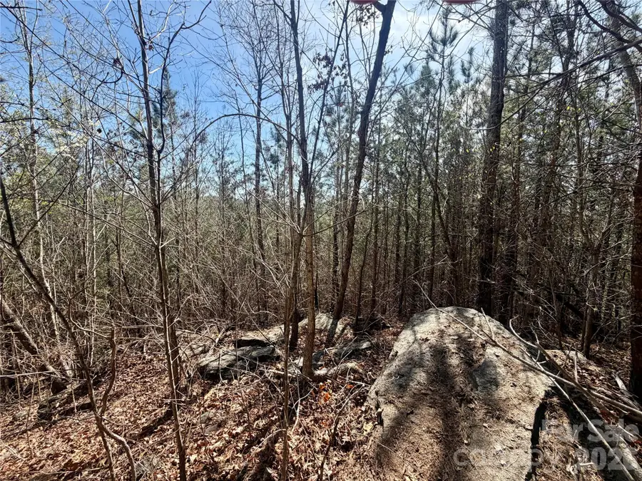 00 Nc Highway 226 Highway, Bostic, NC 28018 - #2