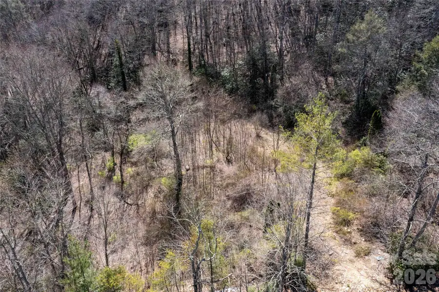 99 Banjo Branch Road, Burnsville, NC 28714 - #2