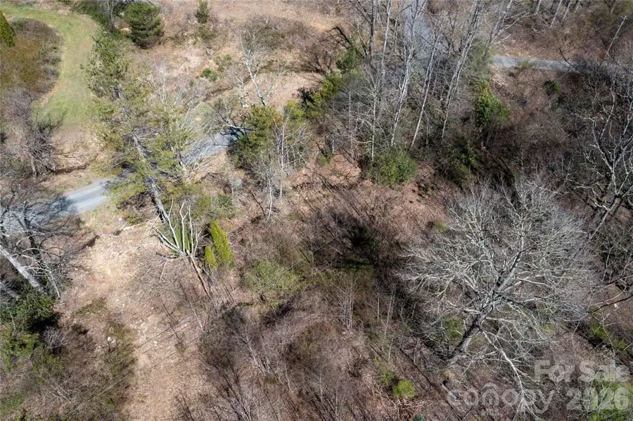 99 Banjo Branch Road, Burnsville, NC 28714 - #3