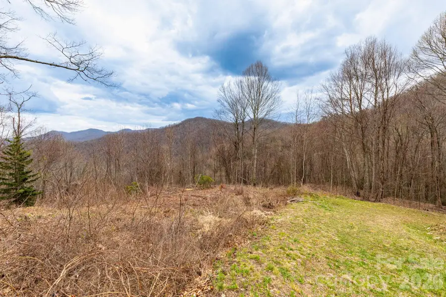 11 Chandra Lane, Clyde, NC 28721 - #3