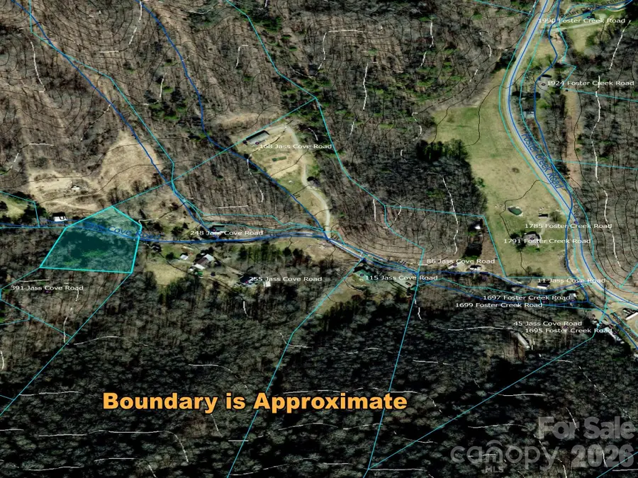 TBD 1.2 Acres Jass Cove Road, Marshall, NC 28753 - #2