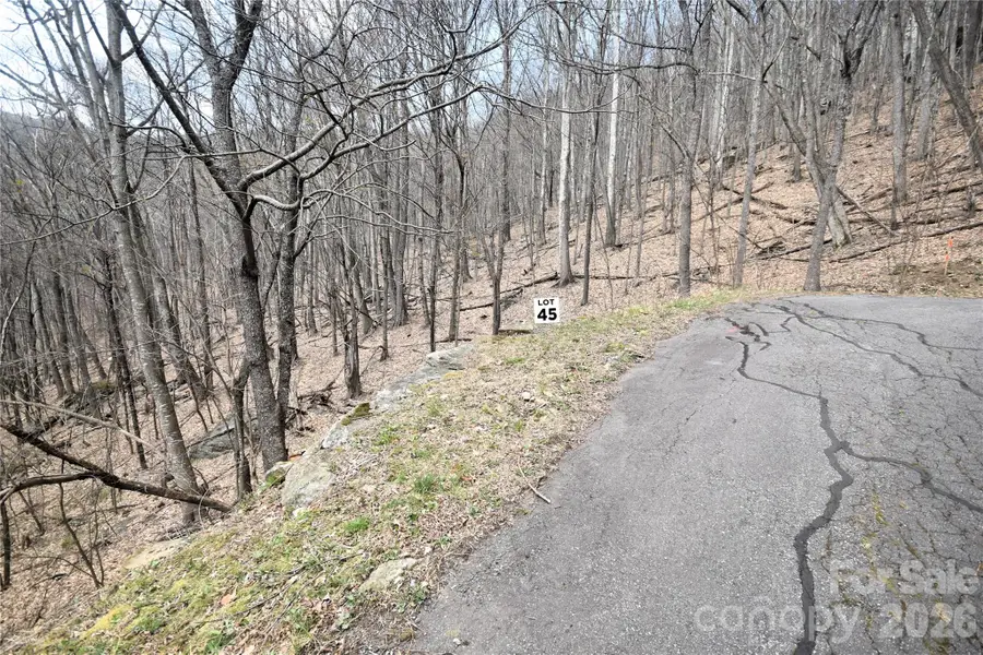45 Prosperity Ridge #45, Waynesville, NC 28785 - #2