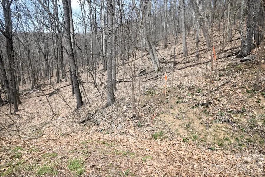 45 Prosperity Ridge #45, Waynesville, NC 28785 - #3