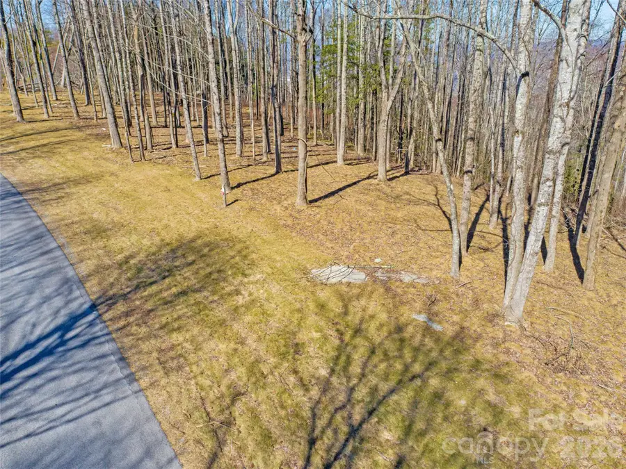 0 East Garden Trail #16, Hendersonville, NC 28792 - #2