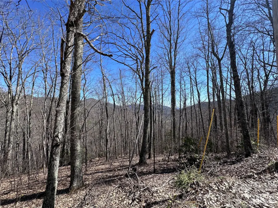 Lot 43 Huckleberry Drive, Maggie Valley, NC 28751 - #3