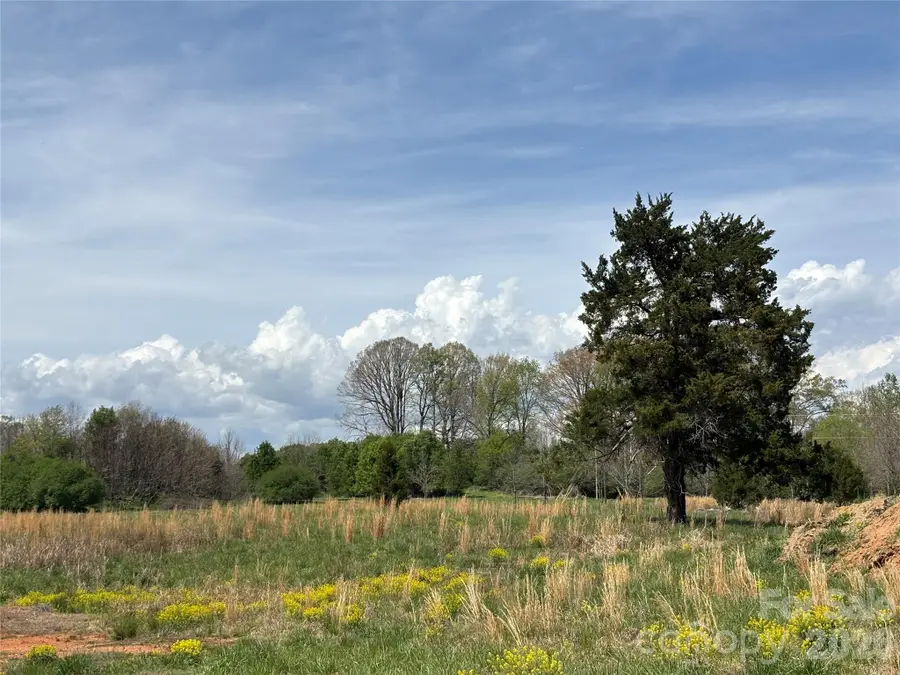 Lot #4 Prince Road, Columbus, NC 28722 - #3