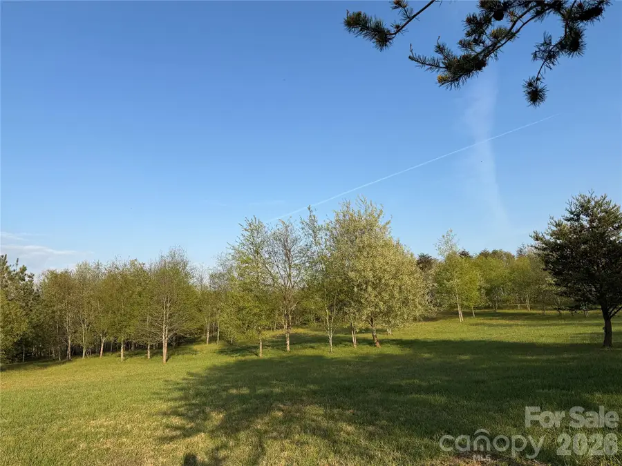 201 Blue Mountain Lane #1, Tryon, NC 28782 - #3