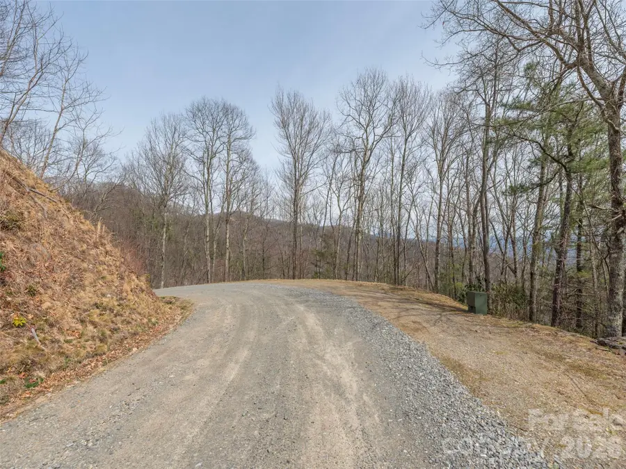0000 Sigogglin Trail #4, Waynesville, NC 28785 - #2