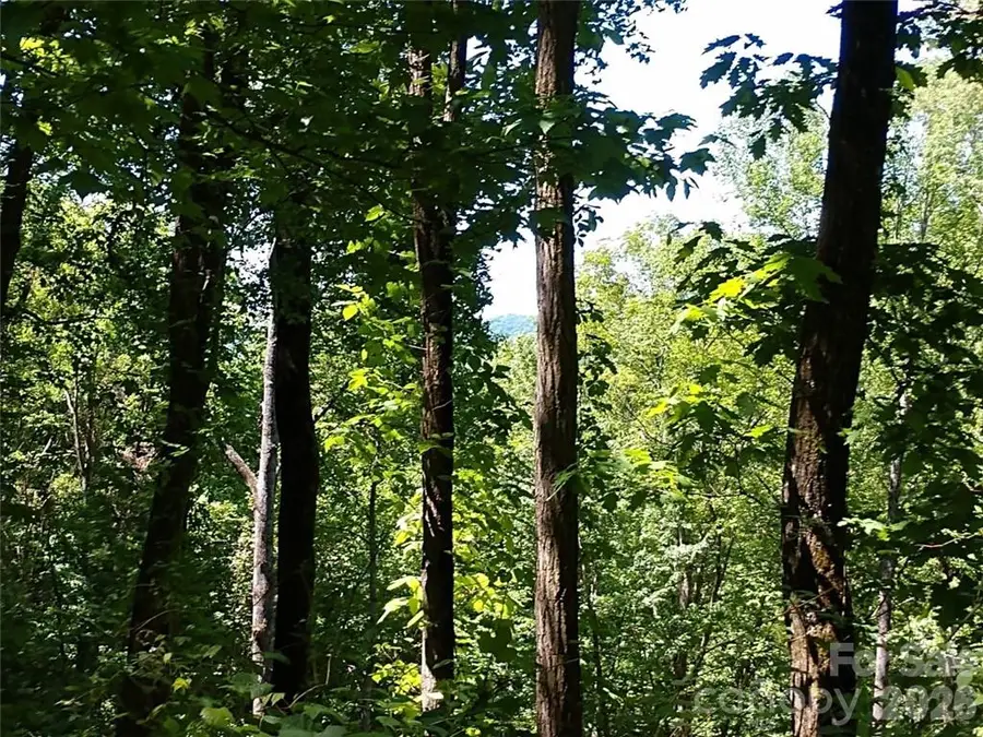 00 Hudson Valley Drive #11, Waynesville, NC 28786 - #3