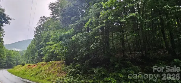 0 Old Ccc Road, Hendersonville, NC 28739