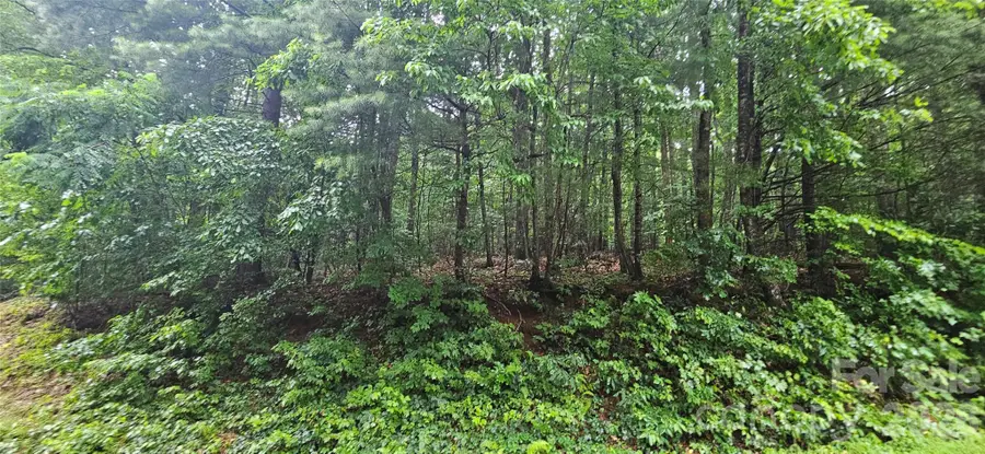 0 Old Ccc Road, Hendersonville, NC 28739 - #2