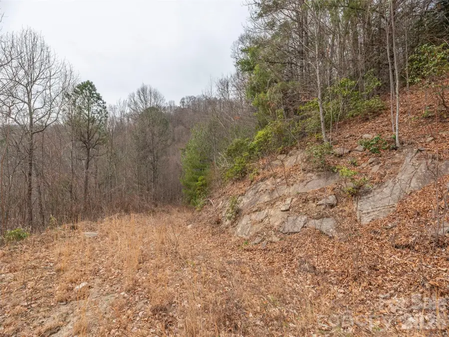 000 Sigogglin Road #17, Waynesville, NC 28786 - #3