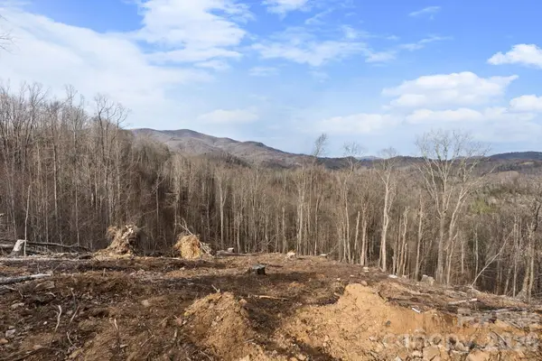 TBD Pinnacle View, Elk Park, NC 28622