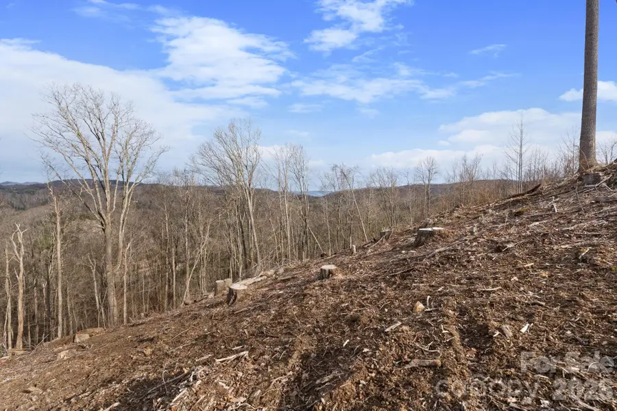 TBD Pinnacle View, Elk Park, NC 28622 - #3