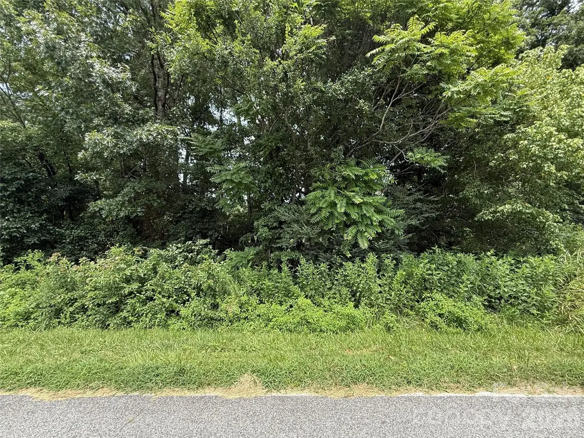 00 Ridgeline Road, Union Grove, NC 28689 - #1