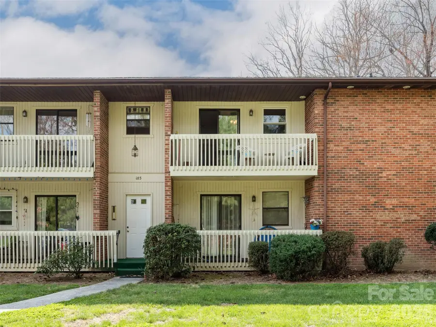 103 Oakwood Place #4, Hendersonville, NC 28792 - #2