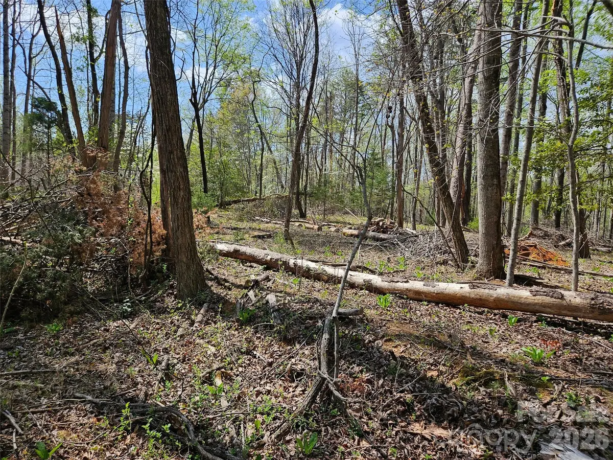 0 Whitney Boulevard #57, Lake Lure, NC 28746 - #1