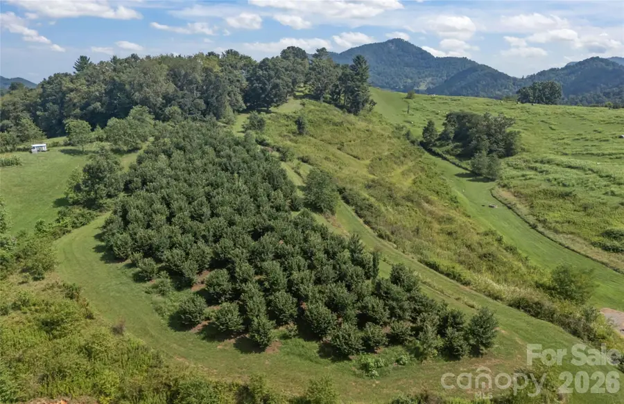 00000 Buck Ridge Road, Waynesville, NC 28785 - #3