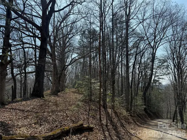 Lot 1 & 2 Boot Hill Road, Whittier, NC 28789