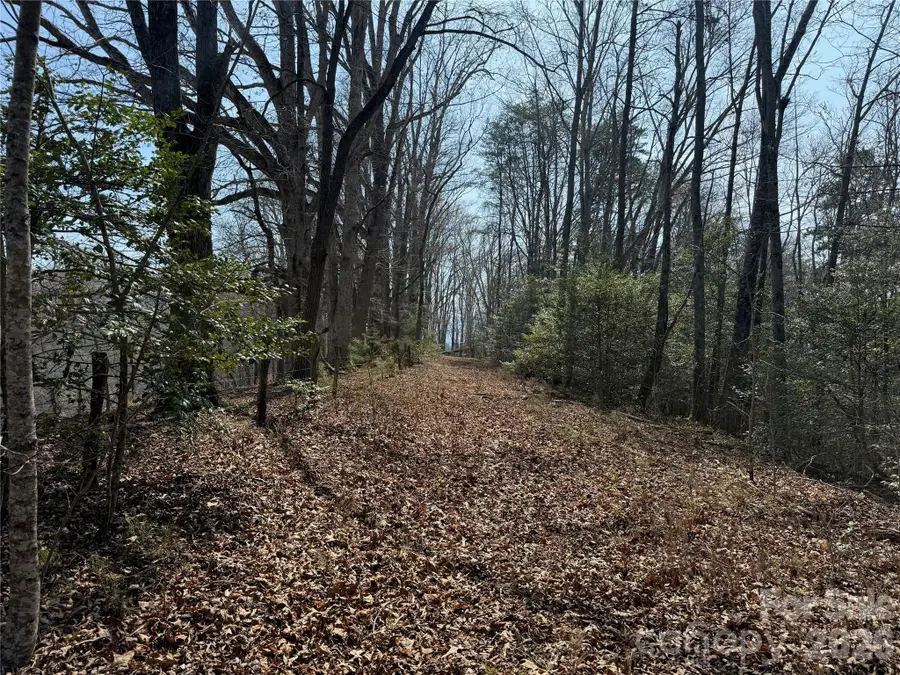 Lot 1 & 2 Boot Hill Road, Whittier, NC 28789 - #2