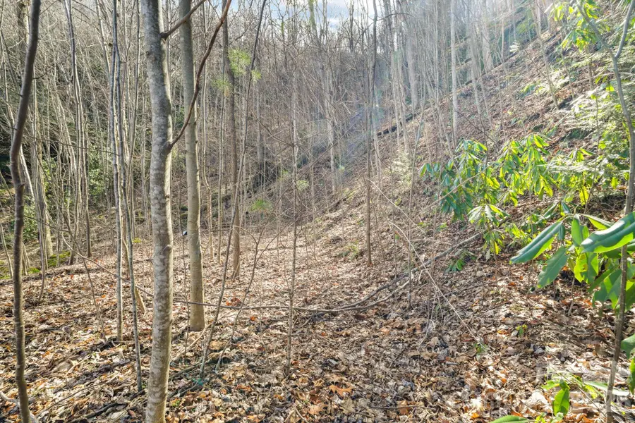 00 Lady Bug Lane W #26, Maggie Valley, NC 28751 - #3