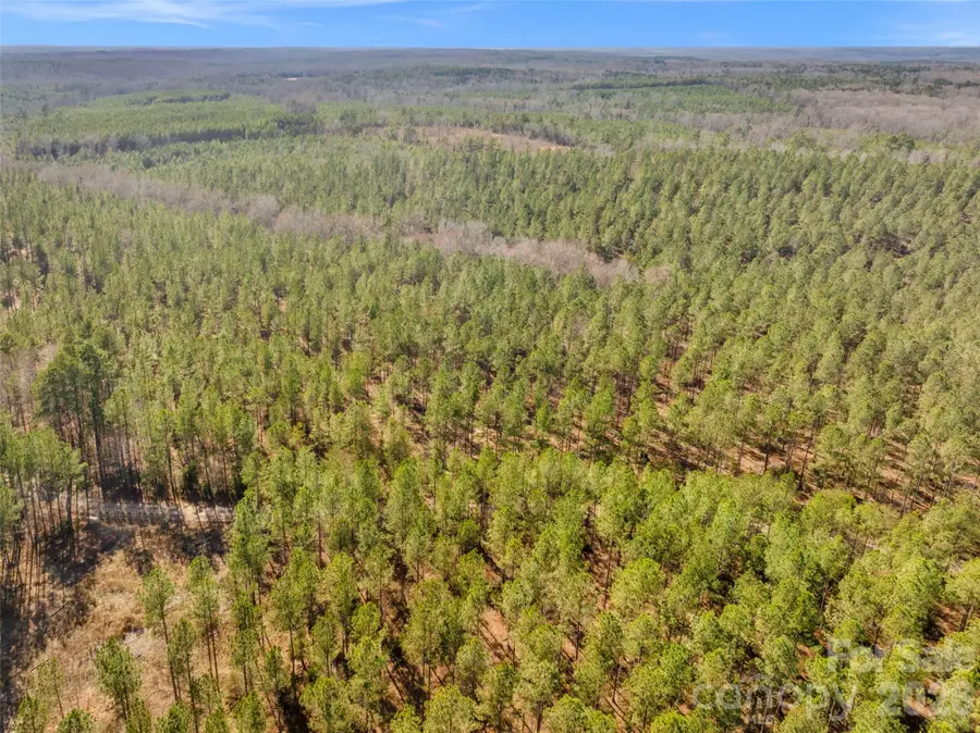 000 Peacehaven Road #2, McConnells, SC 29726 - #2