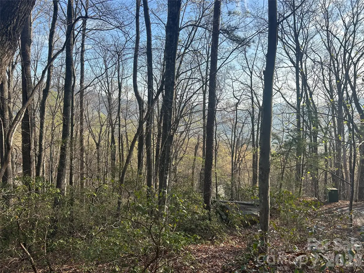 Lot 301 Cardinal Road #301, Lake Lure, NC 28746 - #1