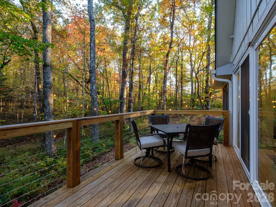 359 Rainbow Lake Drive, Brevard, NC 28712 - #3