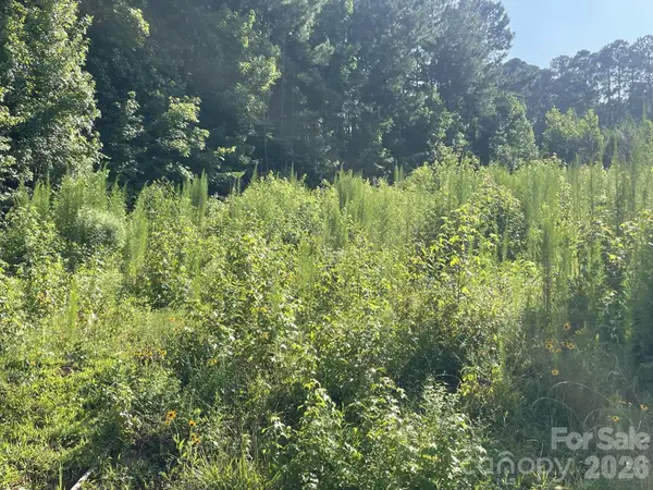 0 Ski Pond Road, New London, NC 28127