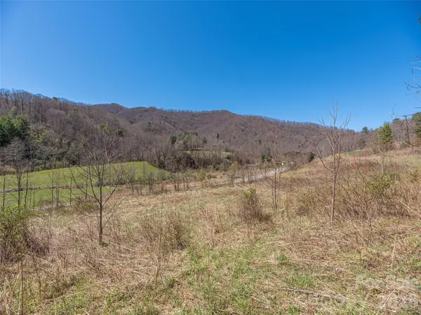 00 Worley Cove Road, Marshall, NC 28753