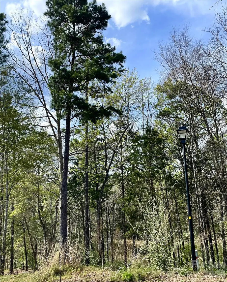 2409 Falling Leaf Court #69, Rock Hill, SC 29732 - #3