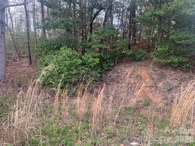 1.0AC Holbert Cove Road #2, Saluda, NC 28773 - #3