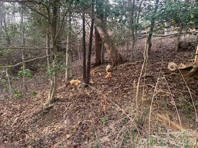 7.67 AC. Holbert Cove Road #7.67 AC., Saluda, NC 28773 - #2