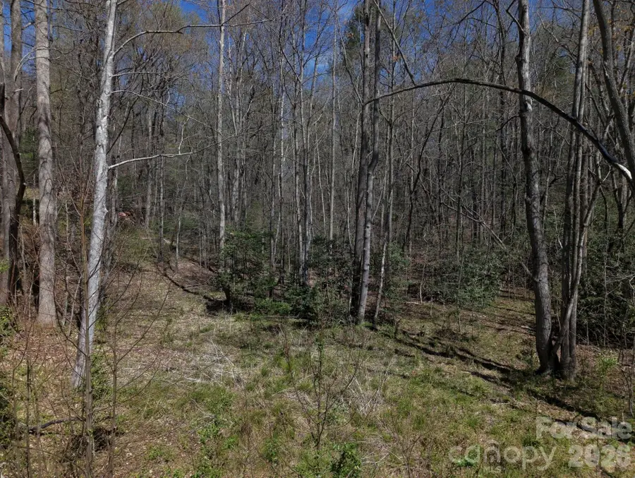 4659 Cedar Brook Lane, Nebo, NC 28761 - #3