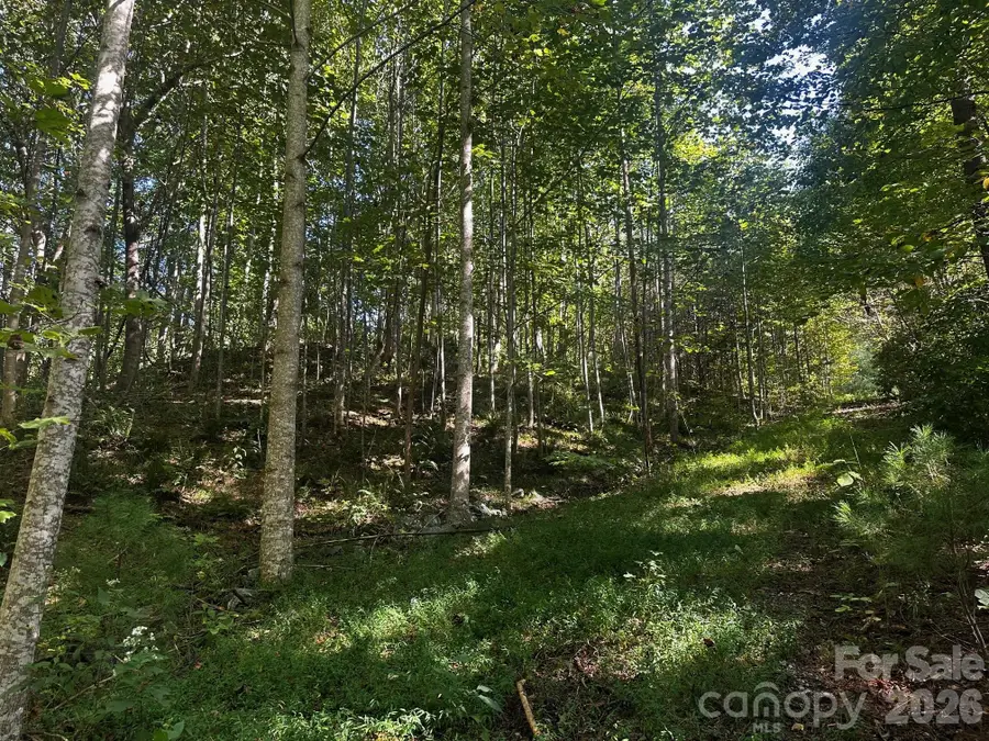 0 Clear Creek Trail, Lake Lure, NC 28746 - #2