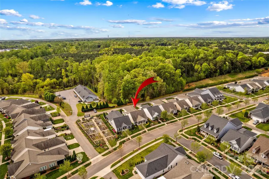 11528 Dublin Crescent Road, Cornelius, NC 28031 - #3
