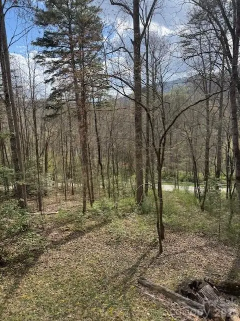 315 N River Road, Sylva, NC 28779 - #2